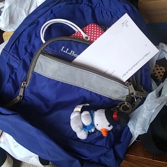 LL Bean bookbag $38 Sz est 15x15x6 +Free hat - Picture 2 of 7